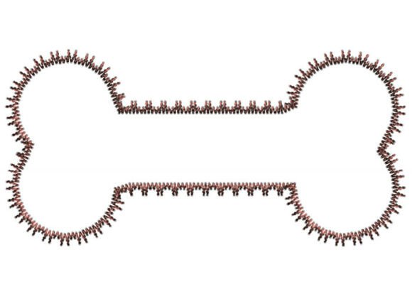 Review: Elegant Dog Bone Embroidery Design for Boutiques